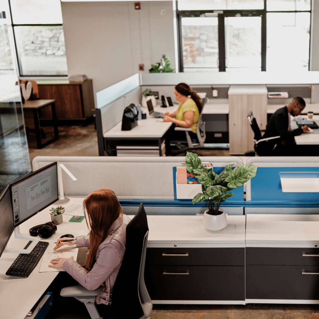 Co-workers sit in their cubicles at the office.